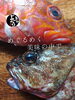 「カサゴ入荷致しました
【浜町の海鮮居酒屋 上なり】」