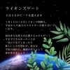 ライオンズゲート「南行徳占い★８月開花★ライオンズゲート★占いご予約大歓迎★」
