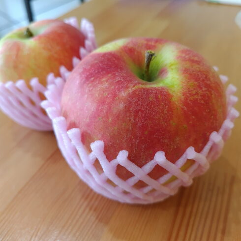 長野県小布施産 夏あかり🍎「本日の変わり商品」