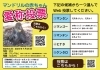 マンドリルの赤ちゃん愛称投票！「マンドリルの赤ちゃん愛称投票！」