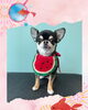 「Dog salon mofu mofu　余市町」