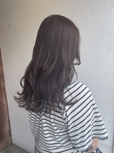 伊丹 美容室 dot.hair イルミナカラー「透明感プラス✨️イルミナカラー 伊丹美容室」