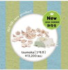 🌲tsumoka🌲「🆕２０２４　新発売　tsumoka ❣️」