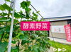 「酵素のパワーで栄養満点◎に育った『夏野菜』販売中！【福島市鎌田にある酵素浴･痩身エステ】」