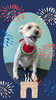 「Dog salon mofu mofu　余市町」