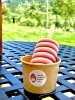 いちごの栽培室🍓 | ICHIGO COMPANY SWEETS LAB（いちご