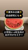 「夏休み子ども収納セミナー　自由研究にも」