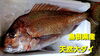 「金曜日恒例‼️お惣菜販売‼️」