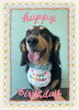 「Dog salon mofu mofu　余市町」