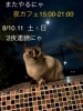 夜カフェやるにゃ「夜カフェやります！【岡山市中区国府市場　冷めても美味しい自家焙煎　珈琲屋まるこ】」