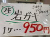 「岩牡蠣入荷致しました」