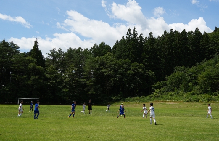 青く澄み切った空、緑豊かな森の中のピッチ「サマーキャンプ（長野県白馬村）に行ってきました。」