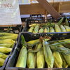 とうもろこしのシーズンがやって来ました！【開田高原野菜直売所・レストラン】