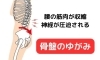 腰痛のメカニズム「草津・南草津エリアで腰痛にお悩みの方へ」