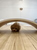 ちゃこちゃん　うまうま😋「ましゅまろ幼稚園🐾パート２」