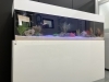 設備投資なしで賃貸物件に“自分だけの小さな水族館”を提供
