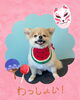 「Dog salon mofu mofu　余市町」