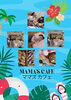 「Mama′s Cafe８月 　ママとベビーの集まり」