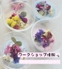 「\ ワークショップ情報です📣✨ /①香る「フラワーバスボム作り」、②筆遊び〜カラフル水筆「紫式部」編〜【越前市/花屋/生花/フラワーアレンジメント/ふるーれ・T】」