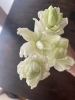 まだこんなに愛しく綺麗！「八重のゆりの愛しさよ…」