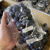 「サマーブラックもー入荷してます🍇」