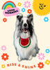 「Dog salon mofu mofu　余市町」