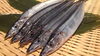 秋刀魚「数量限定入荷♫」
