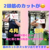 上腕にチョモランマ‼️「豊平区にあるダイエットとリハビリに強いパーソナルトレーニングジム『筋トレ女子』」