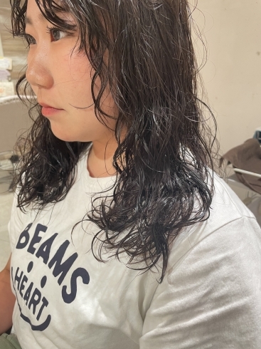 伊丹　美容室　dot.hair　パーマ「外国人風ハードパーマ 伊丹美容室」