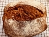 「COKKIPANのおすすめは何と言っても食事パン！🥖💕曜日限定もチェック！」