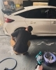 一緒に手洗い洗車体験！😁「一緒に愛車の手洗い洗車ができちゃう！？松山市の手洗い洗車専門店はカルヴォで決まり😁」