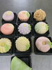 「上生菓子ご注文」