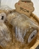 「8月23日、『じゃこ入り焼きおにぎり』醤油味を販売しております✨️ 【福島と青森の美味しい食材を使ったおにぎり屋　にこまる】」