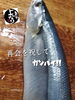 「秋刀魚入荷致しました
【浜町の海鮮居酒屋 上なり】」