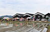 「3,000人の来場者を記録した「つやまとさいだいじ」イベントレポート、2つの地域から西大寺に絶品グルメが大集結！」