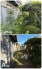 空き家の手入れ　Before/After「猪名川町伏見台でお庭の手入れ(剪定)をしました！」
