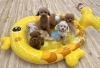 「ましゅまろ幼稚園🐾パート３＆新入園児」