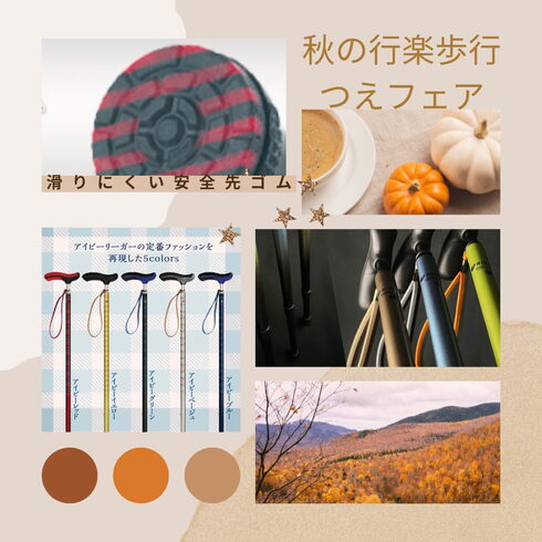 つえフェア「杖フェアと補聴器相談会 9月開催!」