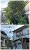 空き家の手入れ Before/After「川西市東畦野山手で剪定・伐採・除草をしました！」