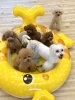 ましゅまろ園児のお友達💕「ましゅまろ幼稚園🐾」