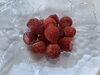 冷凍いちご「暑い日に、いかがですか？こひろファームの冷凍いちご🍓」