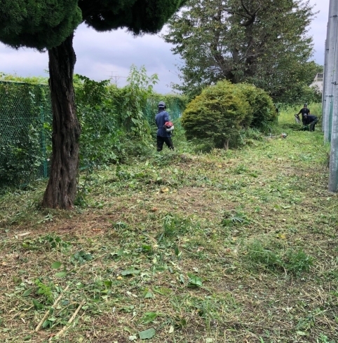 「除草作業もお任せください！」