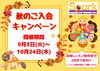 チラシ「秋のご入会キャンペーン始まります！【千葉蘇我のおススメならいごと　英会話スクール】」