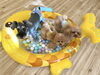 みんな〜　こっち見て〜「ましゅまろ幼稚園🐾」