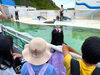 アシカショー🦭「おたる水族館🐠」