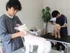 「まいぷれ加古川に「brother dogs -one life partner-」様が掲載となりました。」