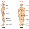正しい姿勢とは？