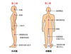 正しい姿勢「正しい姿勢とは?」