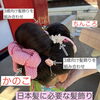 7歳さん向け七五三髪飾りをご紹介します