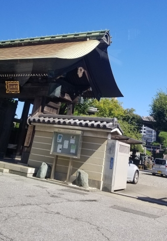 錫杖寺雲一つない青空「錫杖寺ヨガ8／17（土）開催しました」